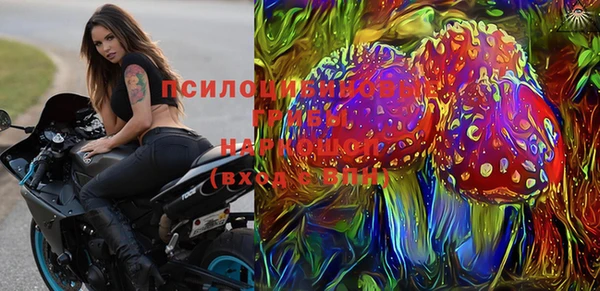 твердый Алексин